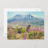 Mt. St. Helens Briefkaart (Voorkant / Achterkant)