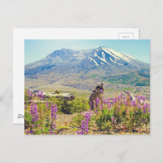 Mt. St. Helens Briefkaart (Voorkant / Achterkant)
