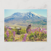Mt. St. Helens Briefkaart (Voorkant)