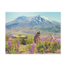 Mt. St. Helens