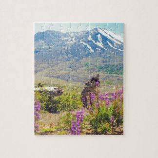 Mt. St. Helens Legpuzzel