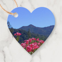 Mt Tamalpais met roze bloemen