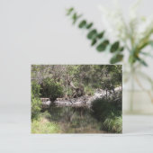 Mt Tamborine #3 Briefkaart (Staand voorkant)