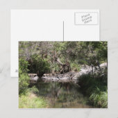 Mt Tamborine #3 Briefkaart (Voorkant / Achterkant)