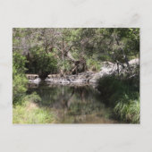 Mt Tamborine #3 Briefkaart (Voorkant)