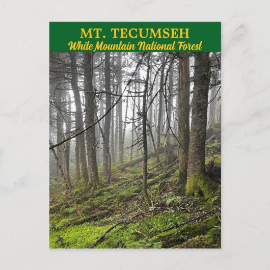 Mt. Tecumseh White Mountains Briefkaart (Voorkant)