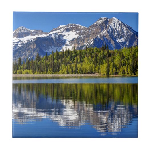 MT. Timpanogos reflecterend in het zilvermeer Tegeltje (Voorkant)