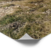 Mt. Ventoux - uitzicht van Panorama Poster (Hoek)