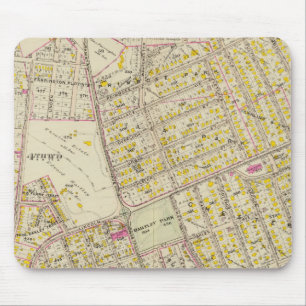 Mt Vernon wards 4-5, New York Muismat