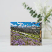 Mt. Washburn Briefkaart (Staand voorkant)