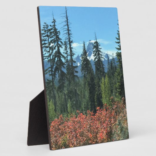 Mt. Washington in het najaar, OF Fotoplaat (Zijkant)