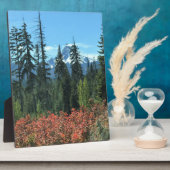 Mt. Washington in het najaar, OF Fotoplaat (Zijkant)