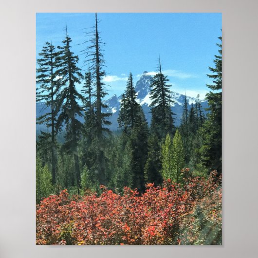 Mt. Washington in het najaar, OF Poster (Voorkant)