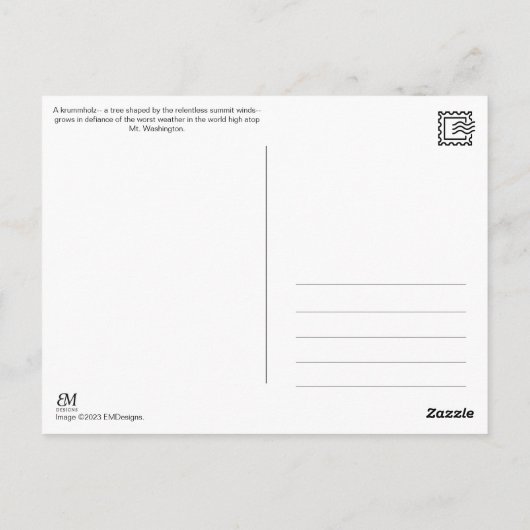 Mt. Washington, NH Postcard Briefkaart (Achterkant)