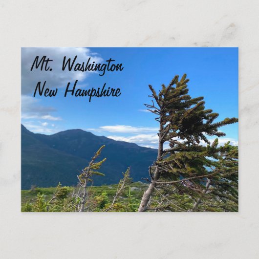 Mt. Washington, NH Postcard Briefkaart (Voorkant)