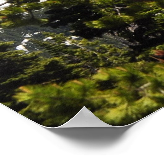 Mt. Washington Poster (Hoek)