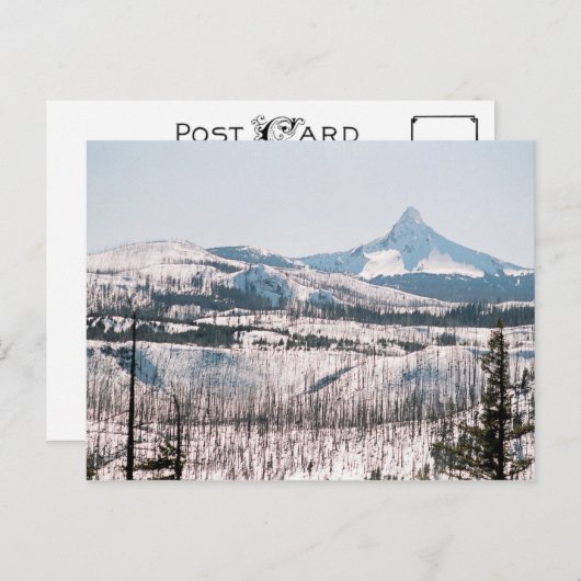 Mt. Washington vanaf Santiam Pass Briefkaart (Voorkant / Achterkant)