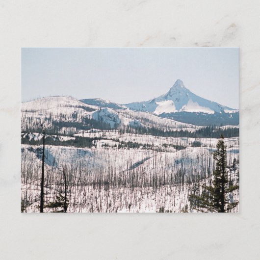 Mt. Washington vanaf Santiam Pass Briefkaart (Voorkant)