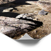 Mt Whitney Trail Crest Panorama - Sierra Poster (Hoek)