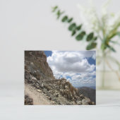 Mt Whitney Trail Junction - John Muir Trail Briefkaart (Staand voorkant)