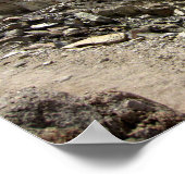 Mt Whitney Trail Junction - John Muir Trail Poster (Hoek)
