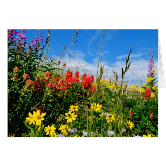 Mt. Wildbloemen (Voorkant Horizontaal)