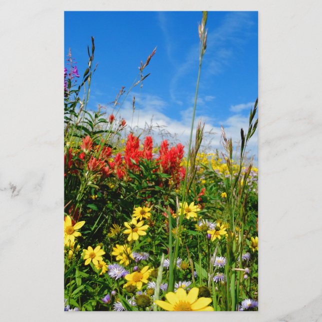Mt. Wildbloemen (Voorkant)