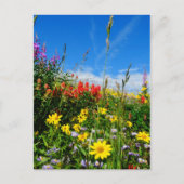 Mt. Wildbloemen Briefkaart (Voorkant)