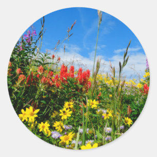 Mt. Wildbloemen Ronde Sticker
