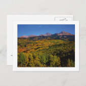 "Mt. Wilson - Aspen Tree Valley" Briefkaart (Voorkant / Achterkant)