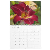 MTBobbins Daylilies - met Namen - Grote Kalender (Mar 2026)