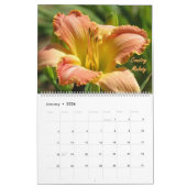MTBobbins Daylilies - met Namen - Grote Kalender (Jan 2026)