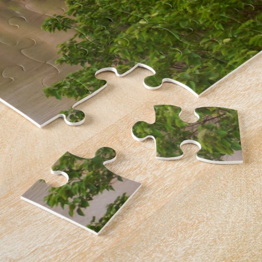 Mt'k'vari Rivierstroom, Tbilisi Legpuzzel (Zijkant)