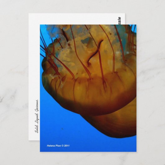 MTV 1 BRIEFKAART (Voorkant / Achterkant)