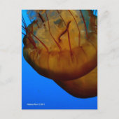 MTV 1 BRIEFKAART (Voorkant)