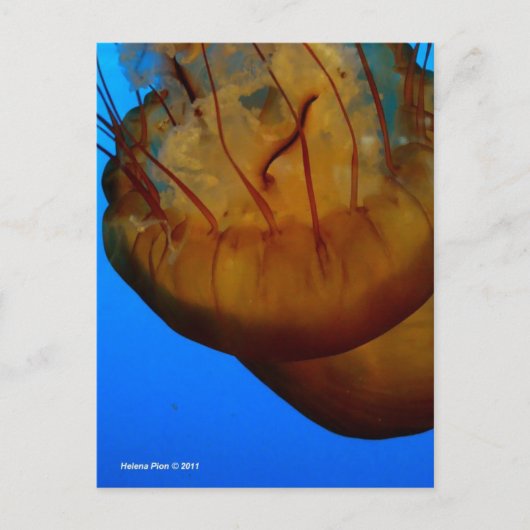 MTV 1 BRIEFKAART (Voorkant)