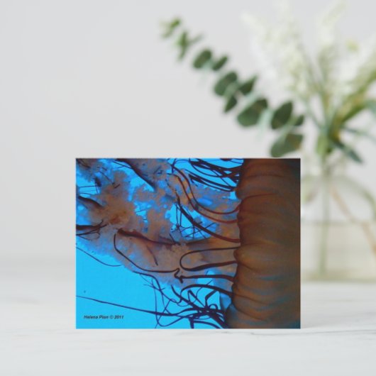 MTV 2 BRIEFKAART (Staand voorkant)