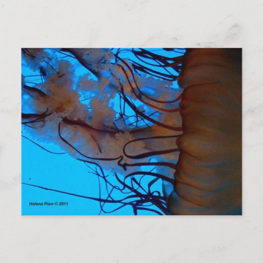 MTV 2 BRIEFKAART (Voorkant)