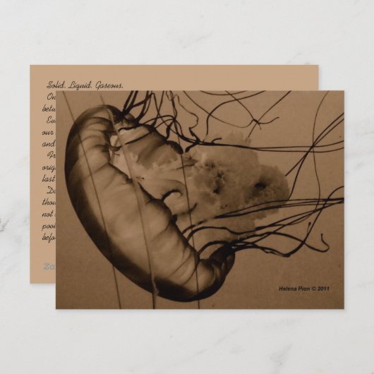 MTV 3 BRIEFKAART (Voorkant / Achterkant)