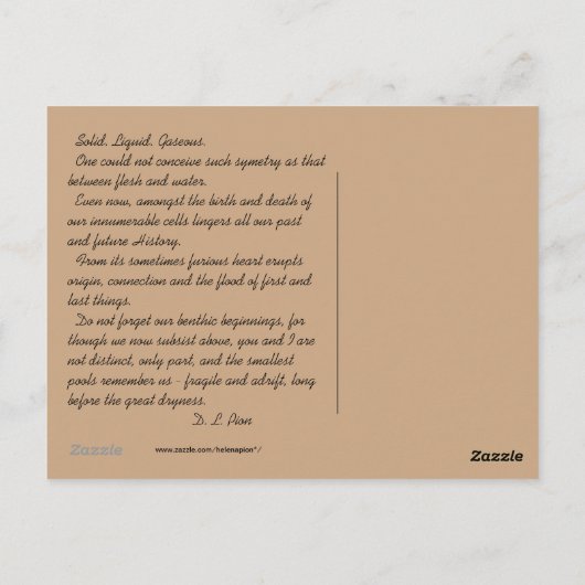 MTV 3 BRIEFKAART (Achterkant)