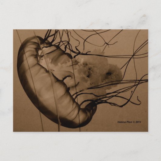 MTV 3 BRIEFKAART (Voorkant)