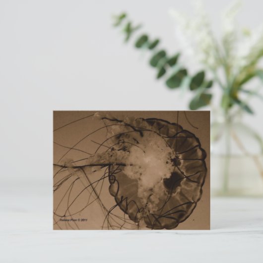 MTV 4 BRIEFKAART (Staand voorkant)