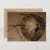 MTV 4 BRIEFKAART (Voorkant / Achterkant)