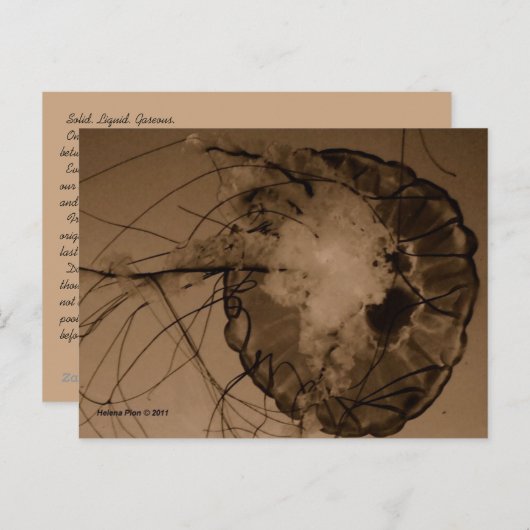 MTV 4 BRIEFKAART (Voorkant / Achterkant)