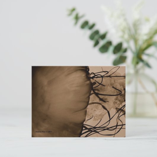 MTV 5 BRIEFKAART (Staand voorkant)