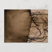 MTV 5 BRIEFKAART (Voorkant)