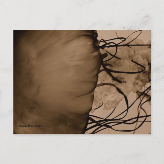 MTV 5 BRIEFKAART (Voorkant)