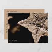 MTV 7 BRIEFKAART (Voorkant / Achterkant)