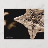 MTV 7 BRIEFKAART (Voorkant)