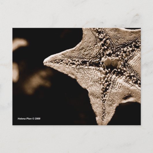 MTV 7 BRIEFKAART (Voorkant)